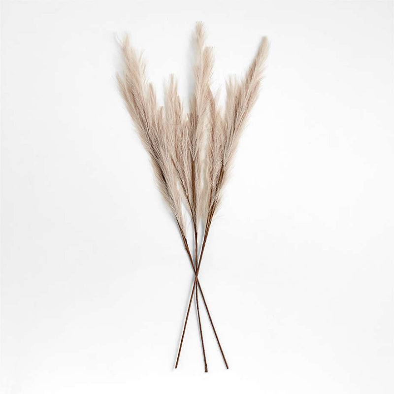 Wrapped Pampas Grass