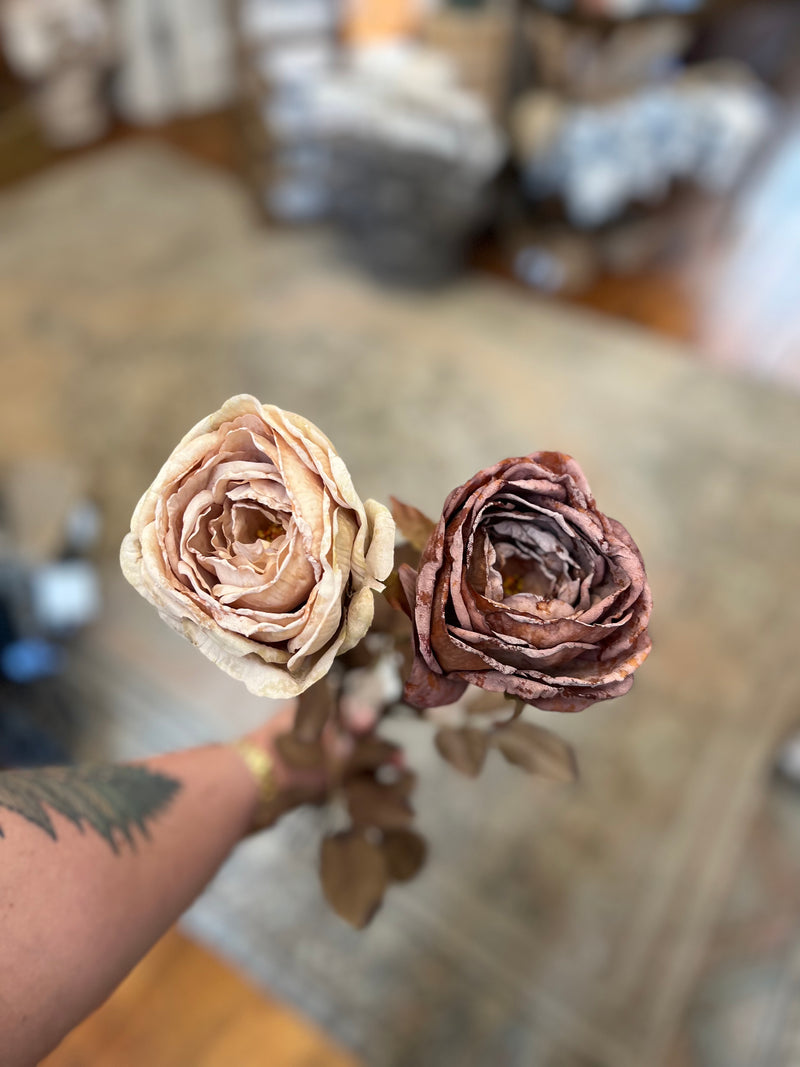 Dried Garden Rose - Candlelight