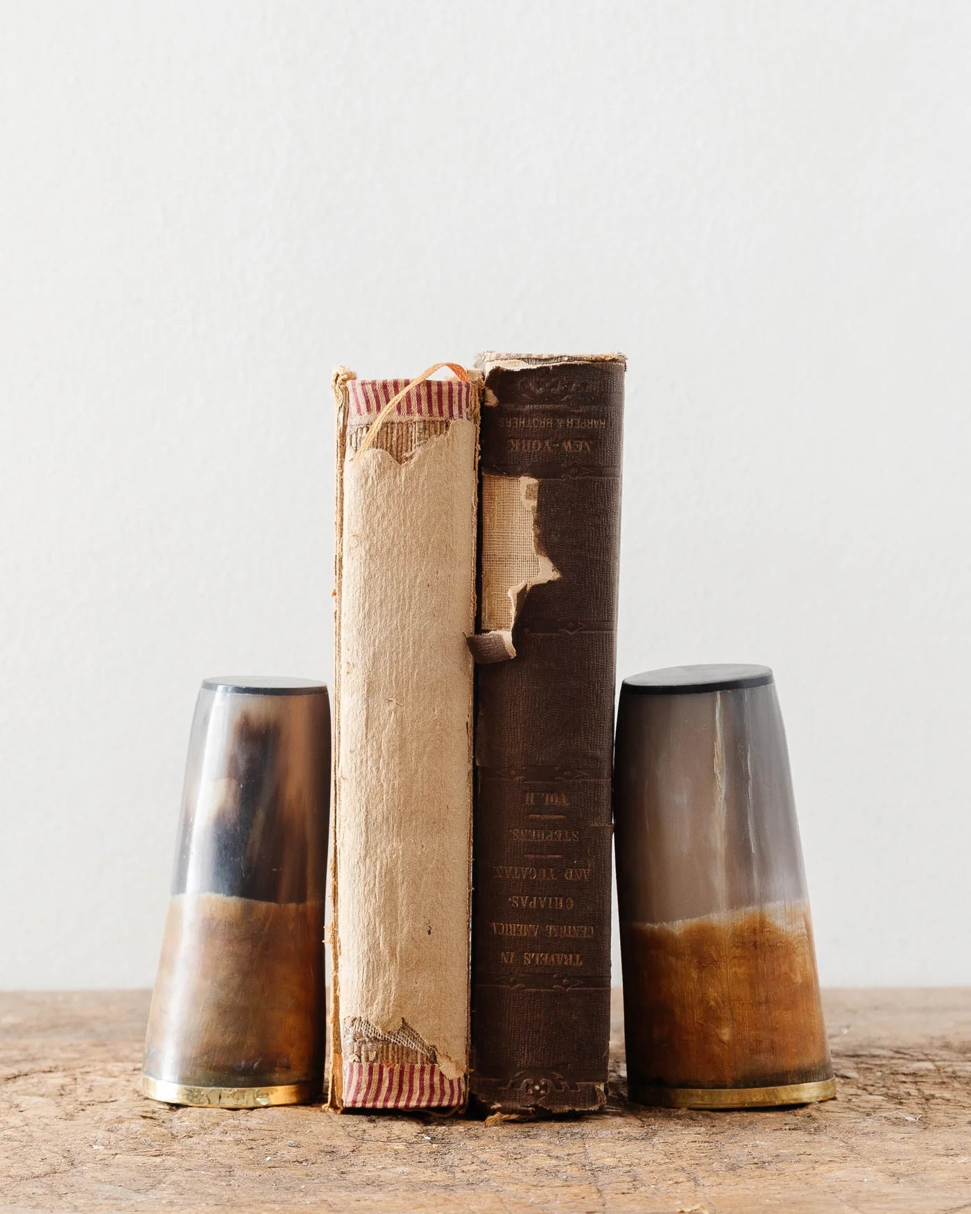 Horn & Brass Bookends Set