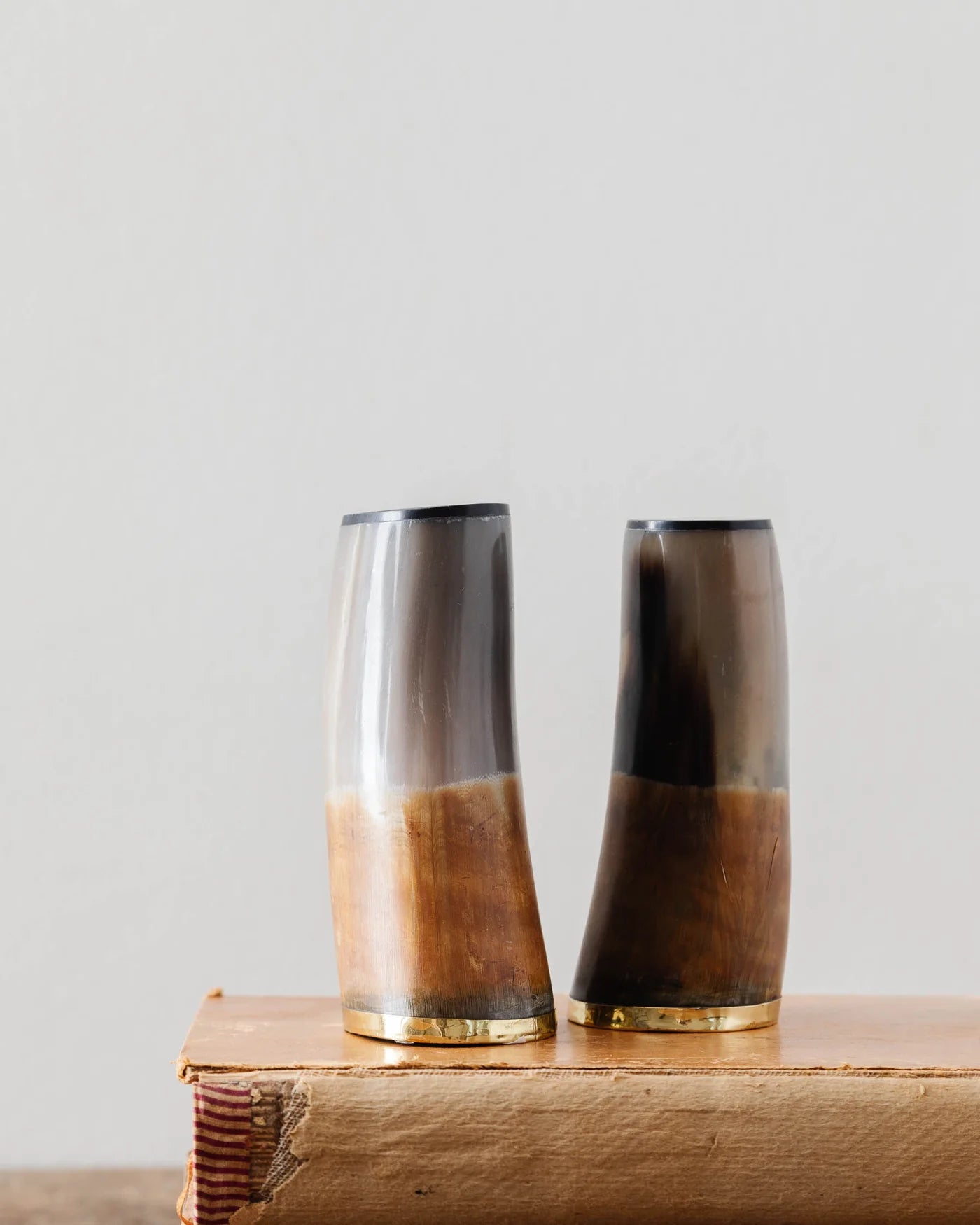 Horn & Brass Bookends Set