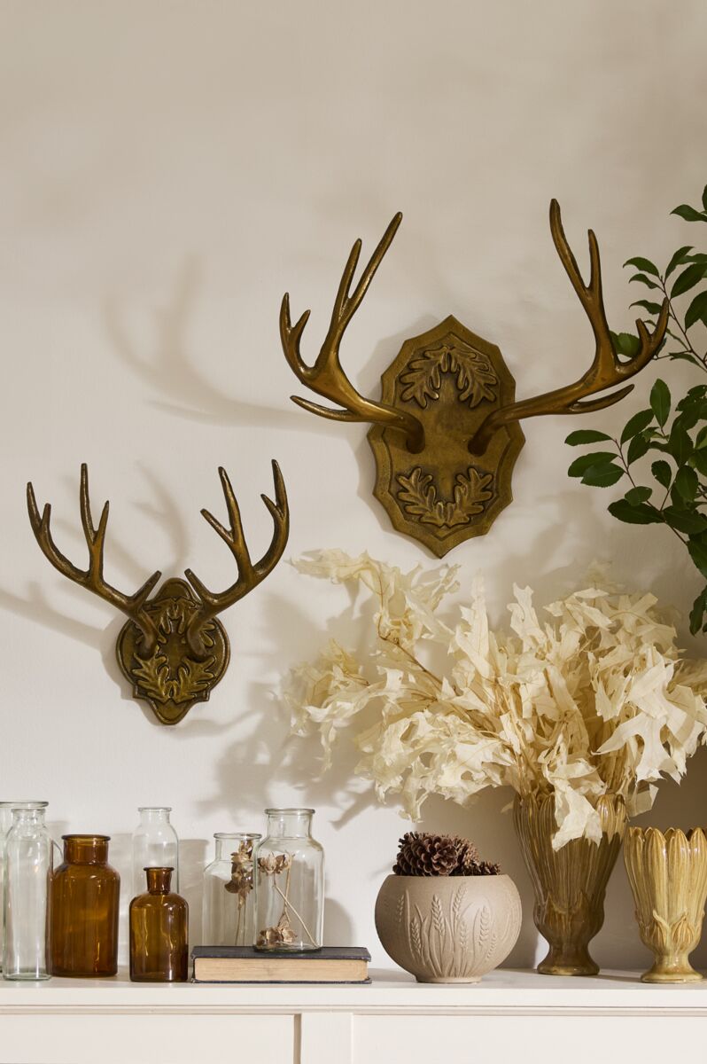 Oakdale Antler Wall Mount