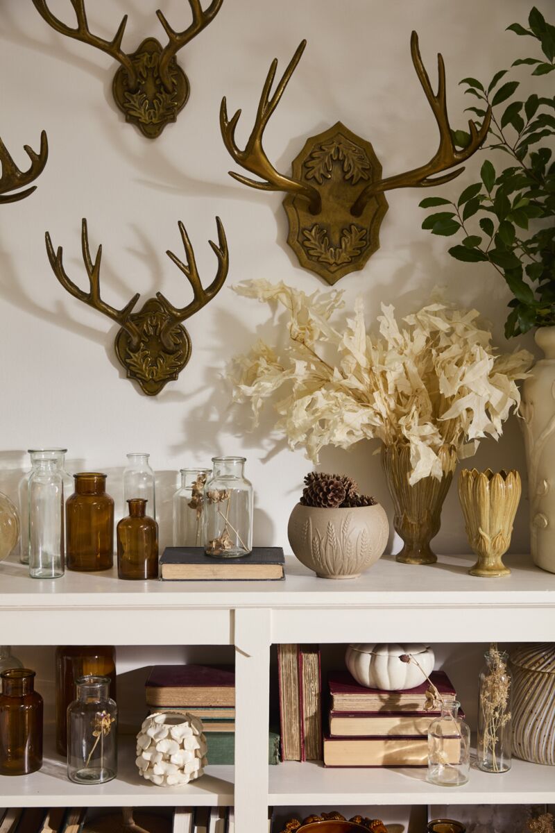 Oakdale Antler Wall Mount