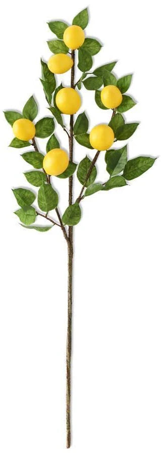 Lemon & Foliage Spray Stem