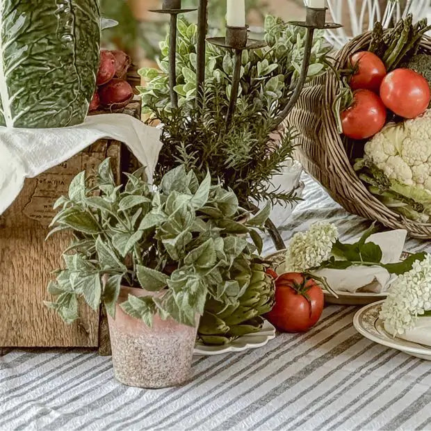 Soft Touch Potted Herb