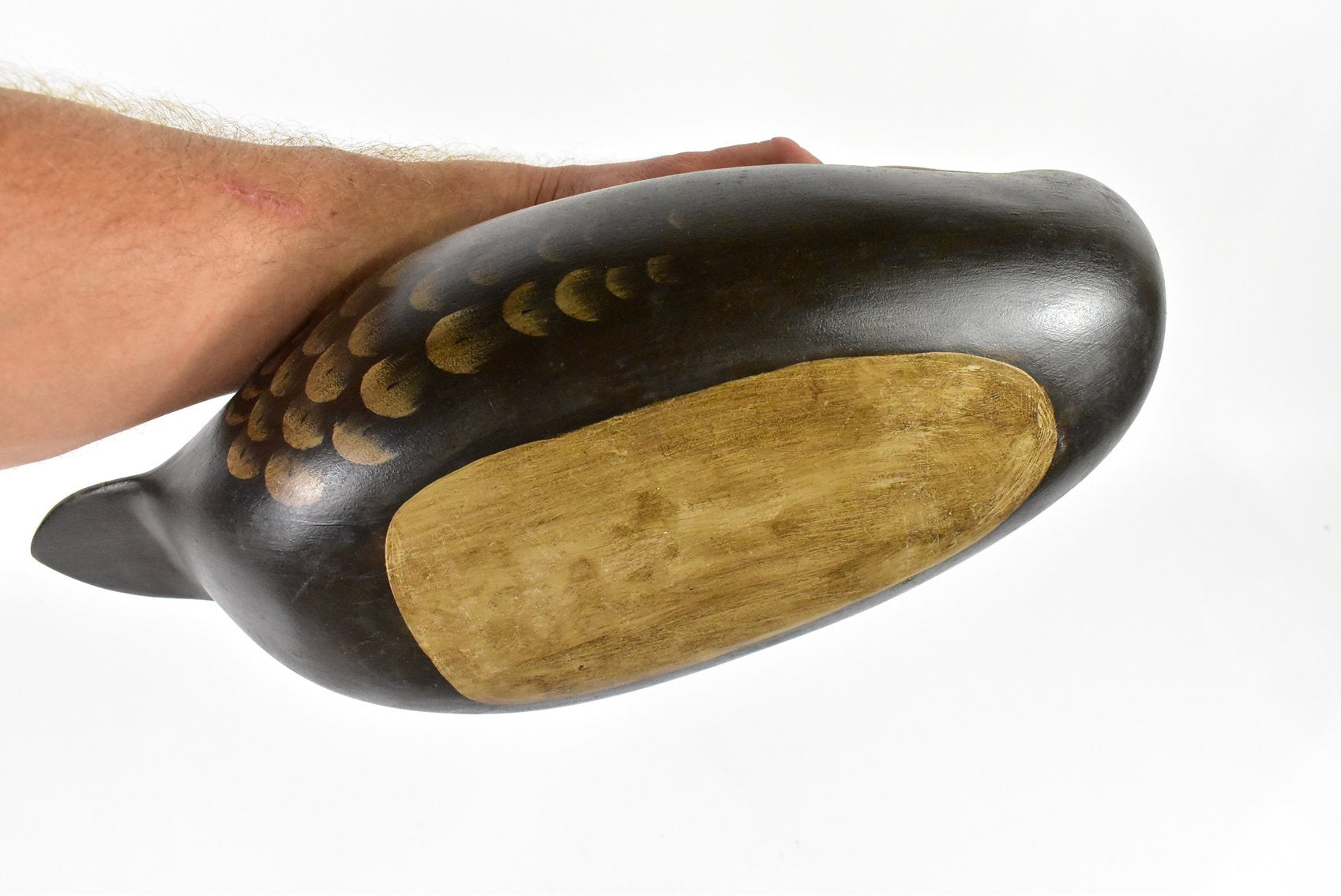 Duck Decoy