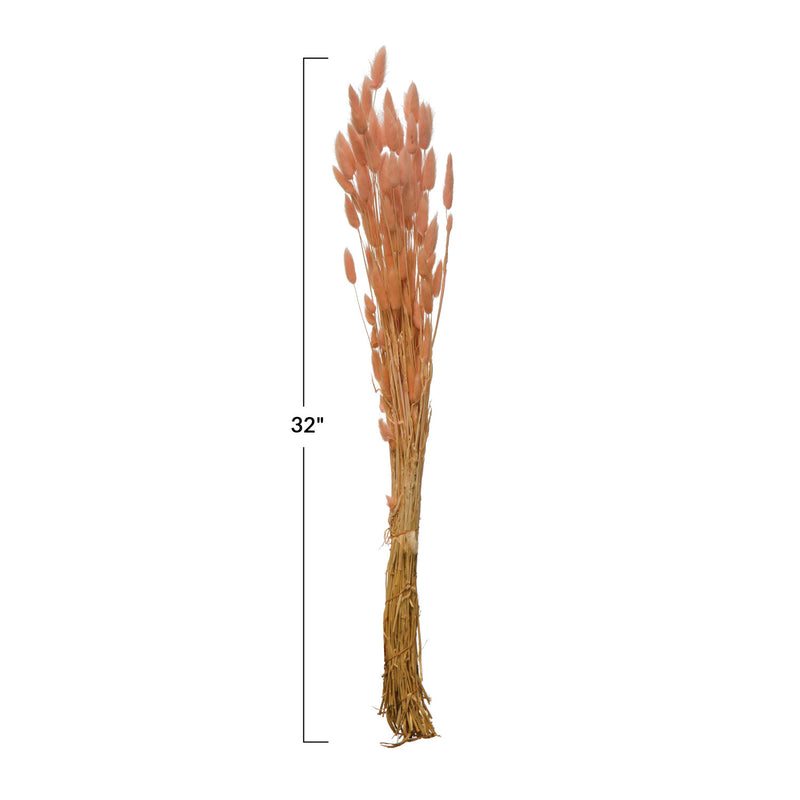 Dried Natural Bunny Tail Bunch, Pink