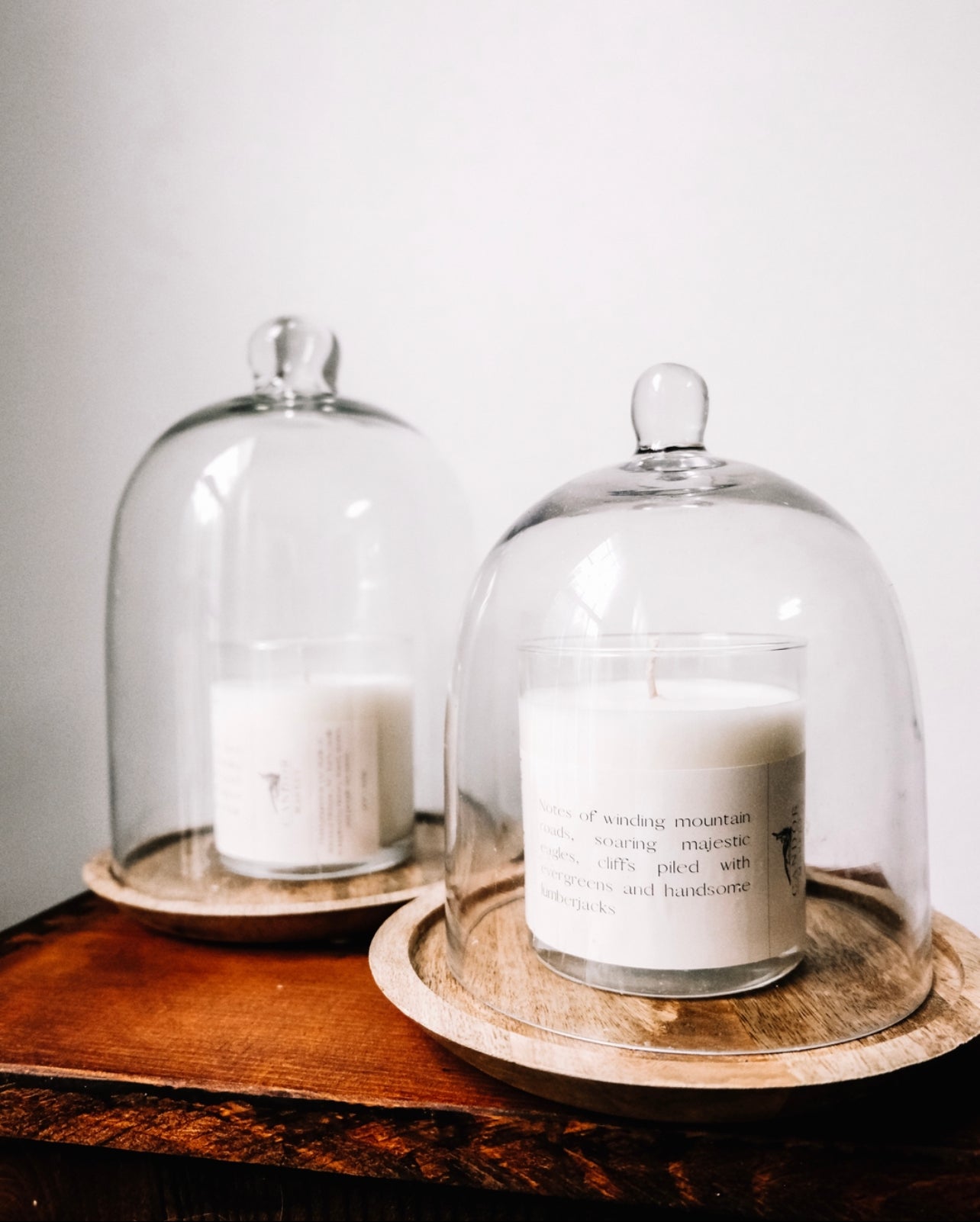 Glass Cloche Bell Jar