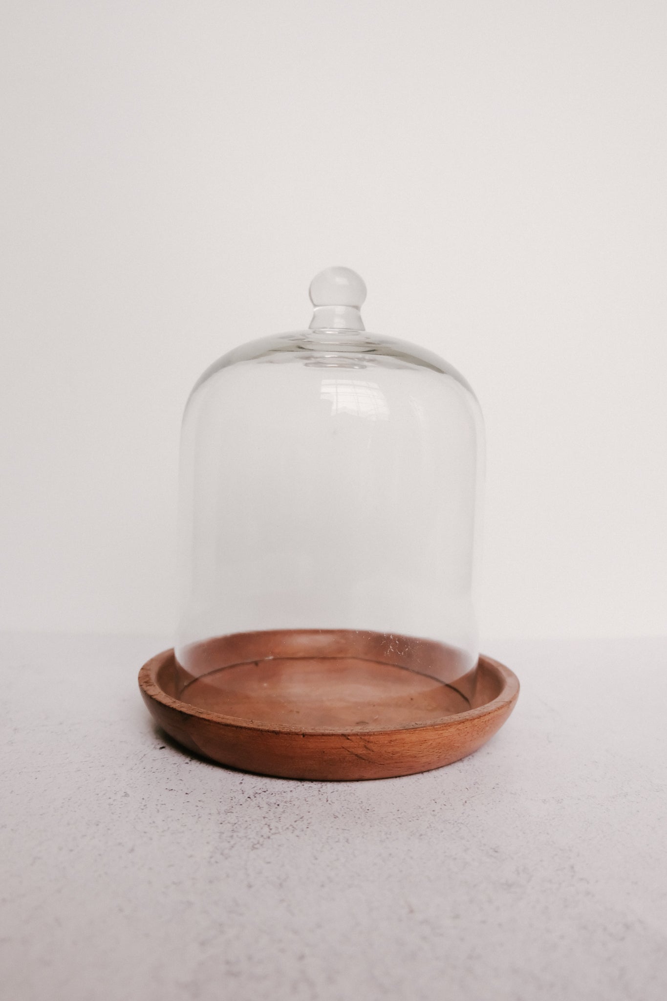 Glass Cloche Bell Jar