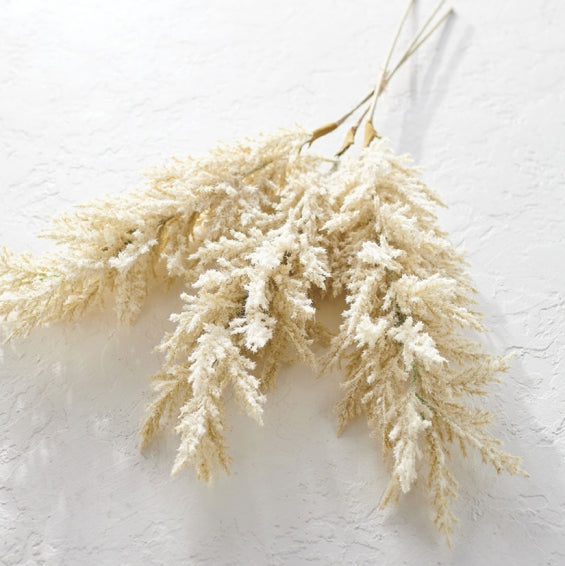 Iced Pampas Grass 34"